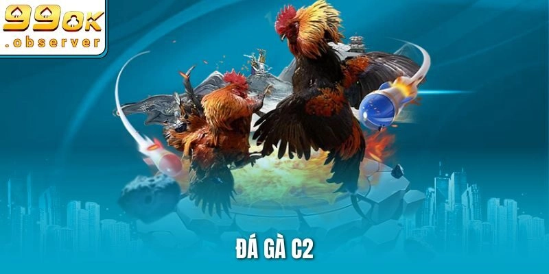 Đá Gà 99ok – Đấu Trường Kịch Tính Cho Người Yêu Cá Cược