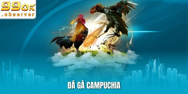 Đá Gà Campuchia – Thỏa Mãn Đam Mê Đấu Kê Cùng 99ok